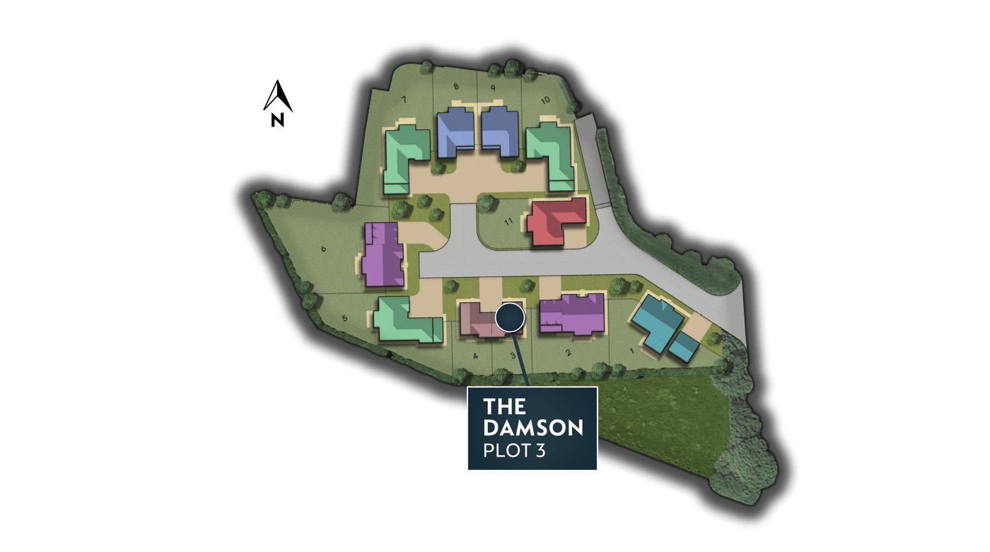 Langtons MAP DAMSON 3