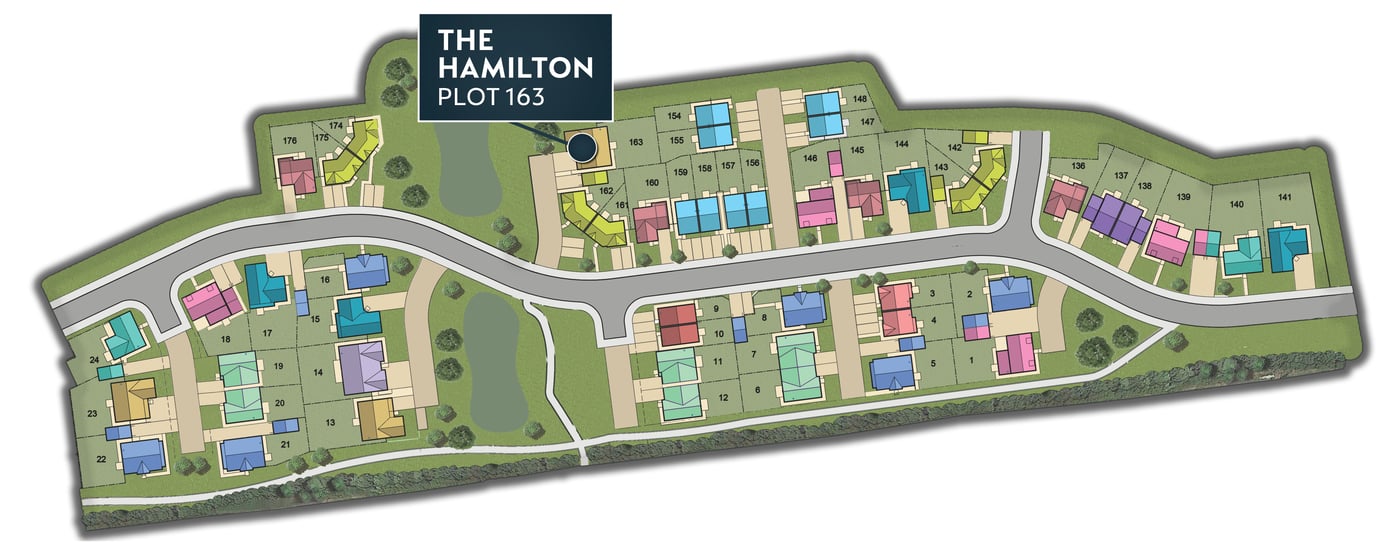 MSG MAP Hamilton 163