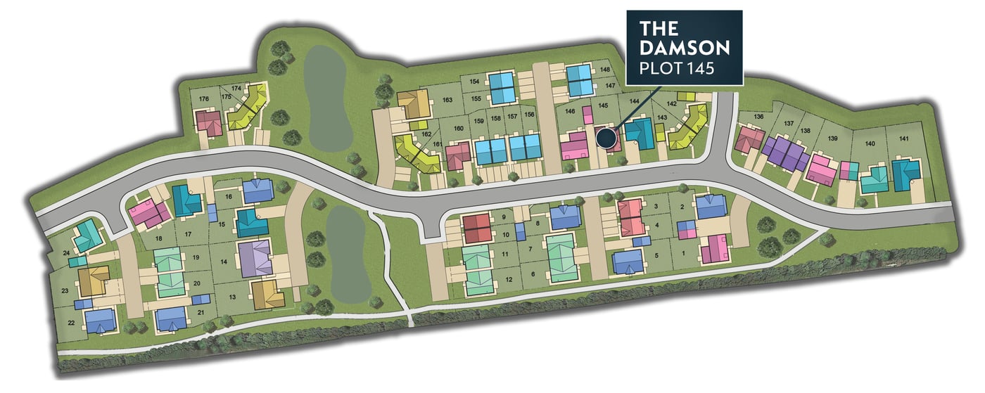 MSG MAP web 145