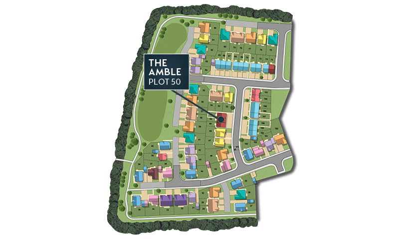 MSG MAP web Phase 2 Amble 50