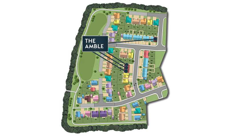 MSG MAP web Phase 2 Amble