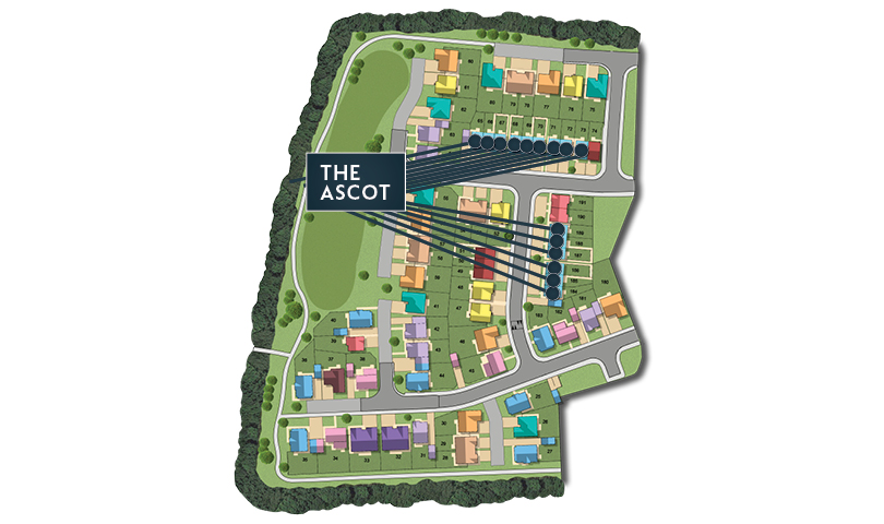 MSG MAP web Phase 2 Ascot