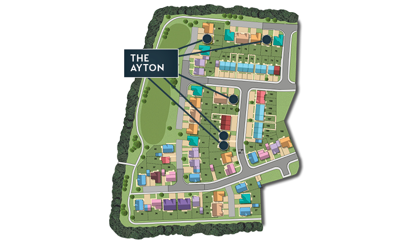 MSG MAP web Phase 2 Ayton