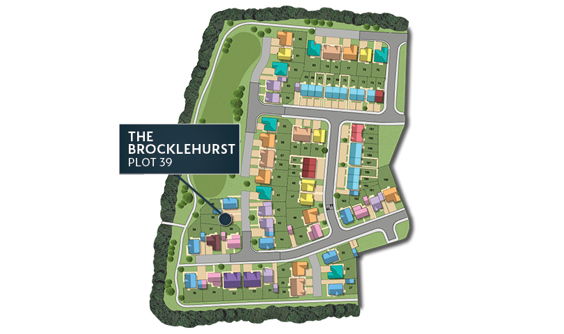 MSG MAP web Phase 2 Brocklehurst 39 MSG MAP web Phase 2 Brocklehurst 39