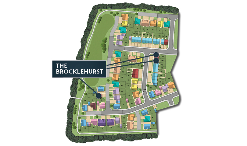 MSG MAP web Phase 2 Brocklehurst