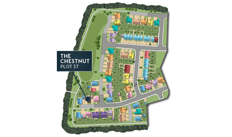 MSG MAP web Phase 2 Chestnut 37