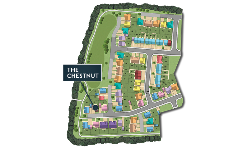 MSG MAP web Phase 2 Chestnut