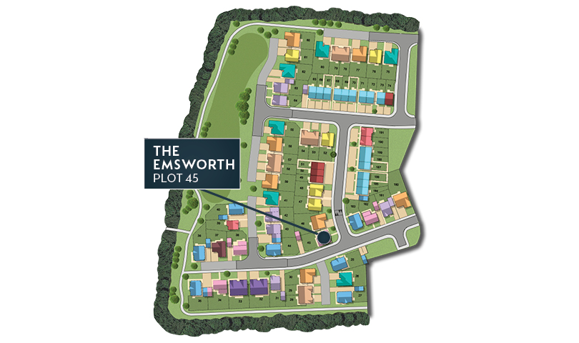 MSG MAP web Phase 2 Emsworth 45