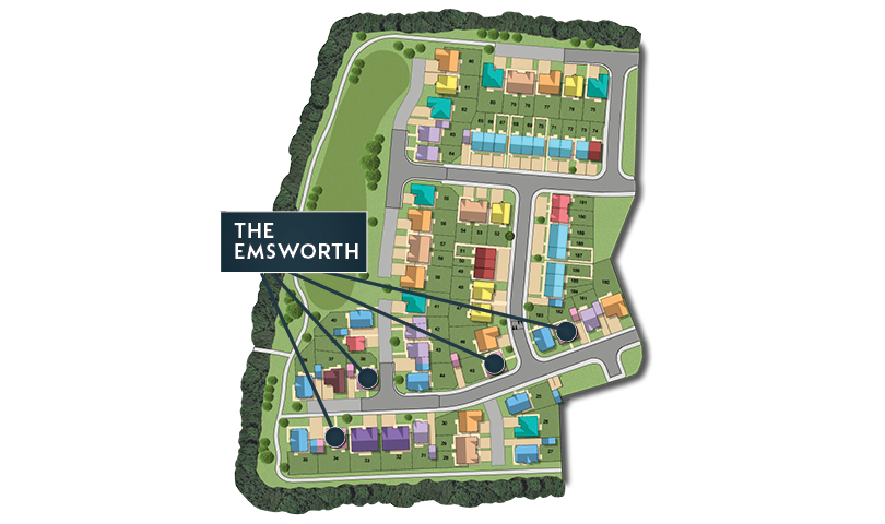 MSG MAP web Phase 2 Emsworth
