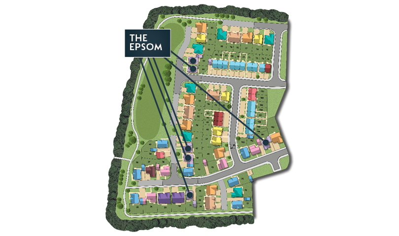MSG MAP web Phase 2 Epsom
