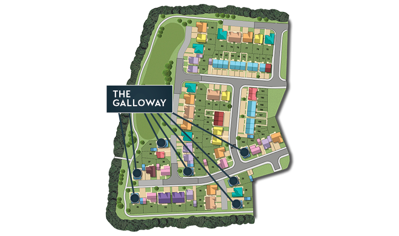 MSG MAP web Phase 2 Galloway