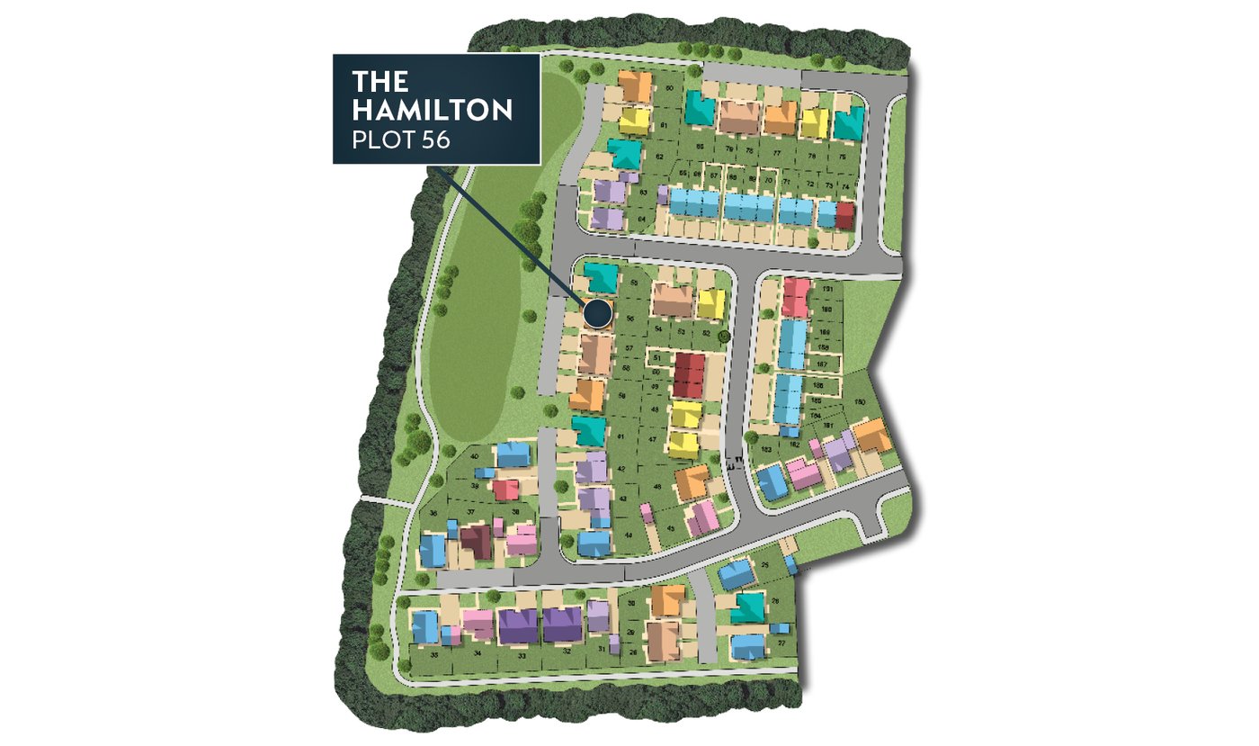 MSG MAP web Phase 2 Hamilton 56
