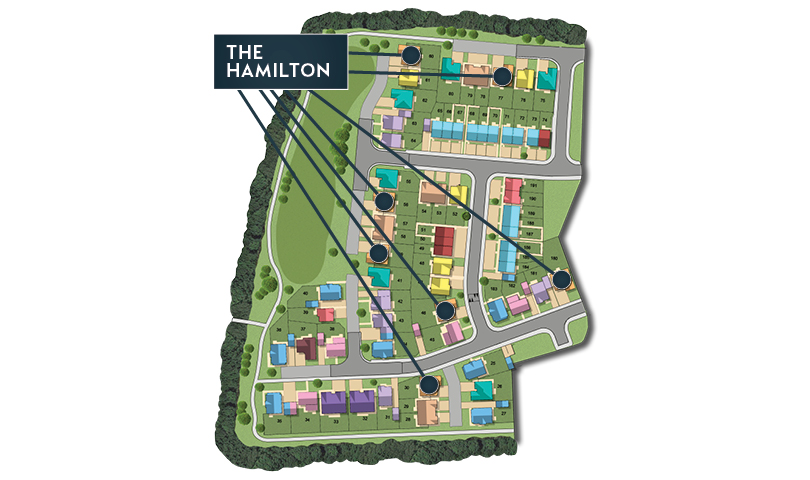 MSG MAP web Phase 2 Hamilton