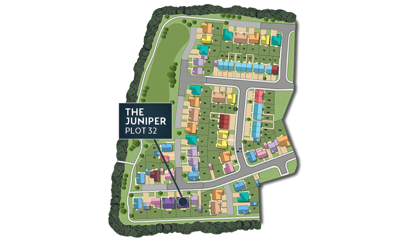 MSG MAP web Phase 2 Juniper 32