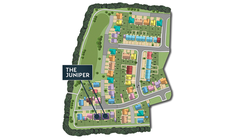 MSG MAP web Phase 2 Juniper