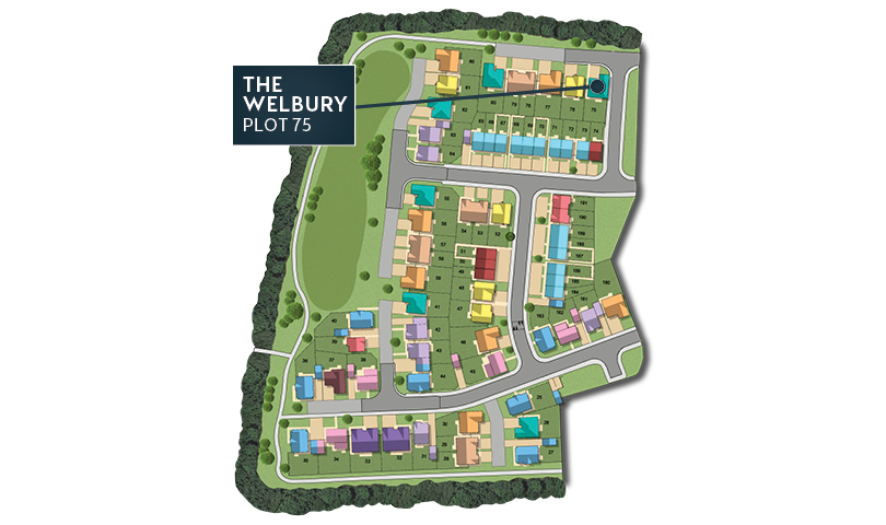 MSG MAP web Phase 2 Welbury 75