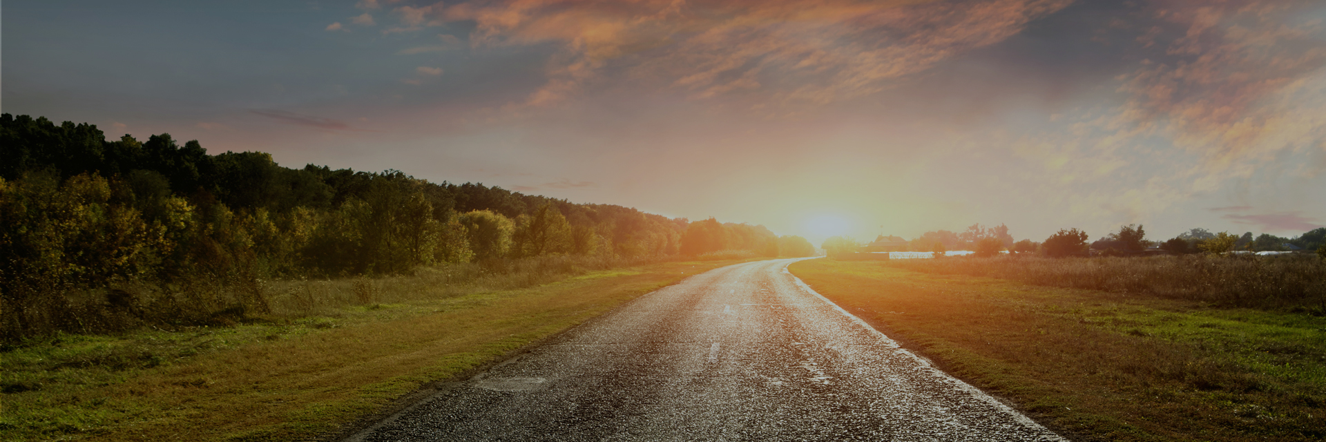 Thorpe Paddocks New houses for sale, Thorpe Thewles Homes by Carlton