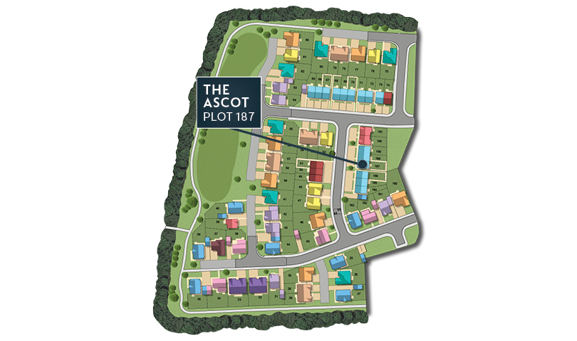MSG MAP web Phase 2 Ascot 187 MSG MAP web Phase 2 Ascot 187