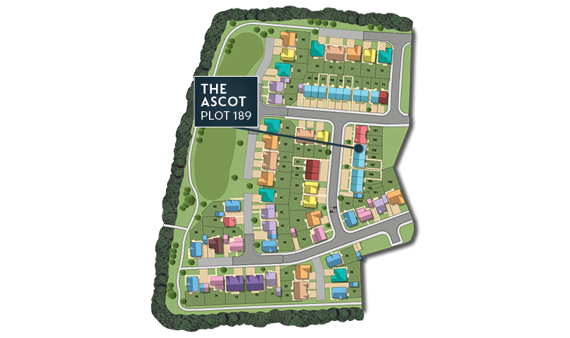 MSG MAP web Phase 2 Ascot 189 MSG MAP web Phase 2 Ascot 189