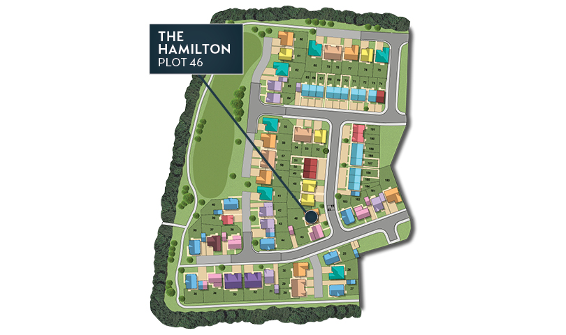 MSG MAP web Phase 2 Hamilton 46 MSG MAP web Phase 2 Hamilton 46