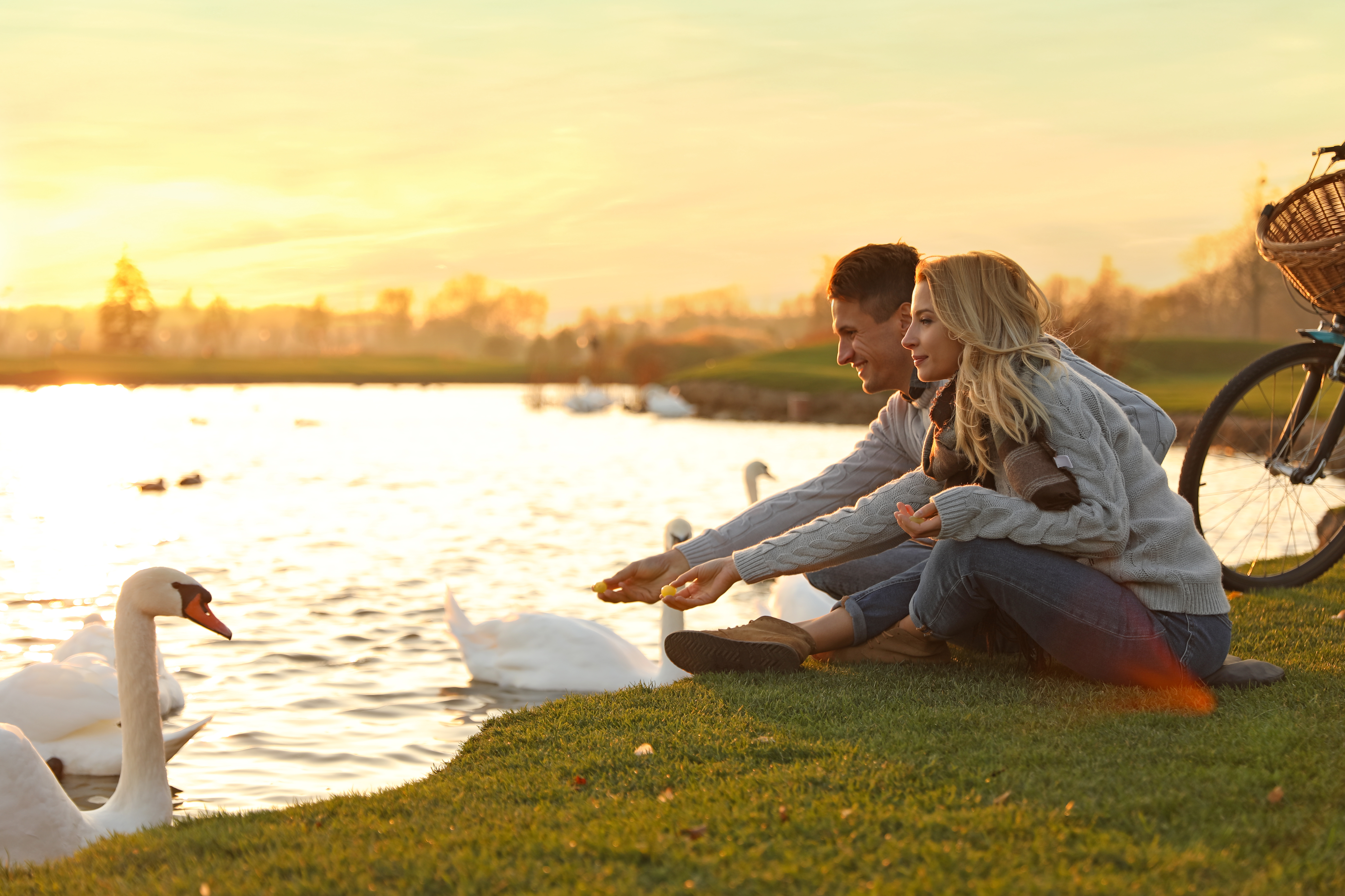 shutterstock_1582453264 (1)